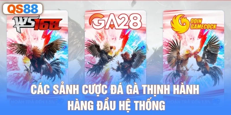 Các sảnh cược đá gà thịnh hành hàng đầu hệ thống